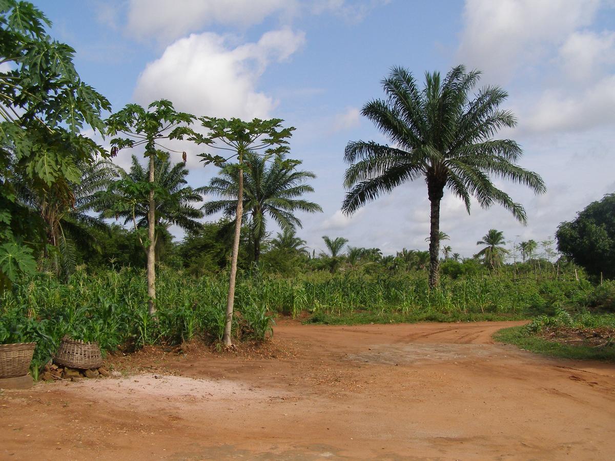 Chez Sabine Bed and Breakfast Abomey Esterno foto